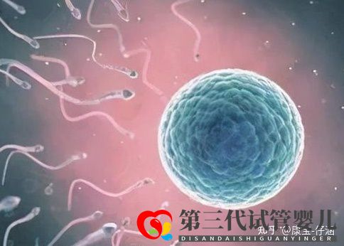 通俗易懂的一、二、三代試管嬰兒解說,及三代試管能...(圖1)